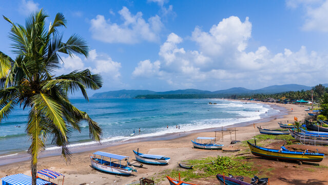 Goa — a ZnVO launch destination
